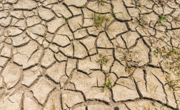 Aszálytól megrepedezett föld