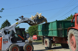 Katasztrófavédelem