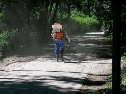 Katasztrófavédelem