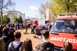 Roncsvágási gyakorlat